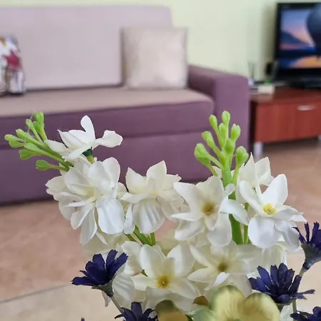 Casa Del Mar Apartment *